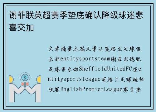 谢菲联英超赛季垫底确认降级球迷悲喜交加 谢菲联英超赛季垫底确认降级球迷悲喜交加